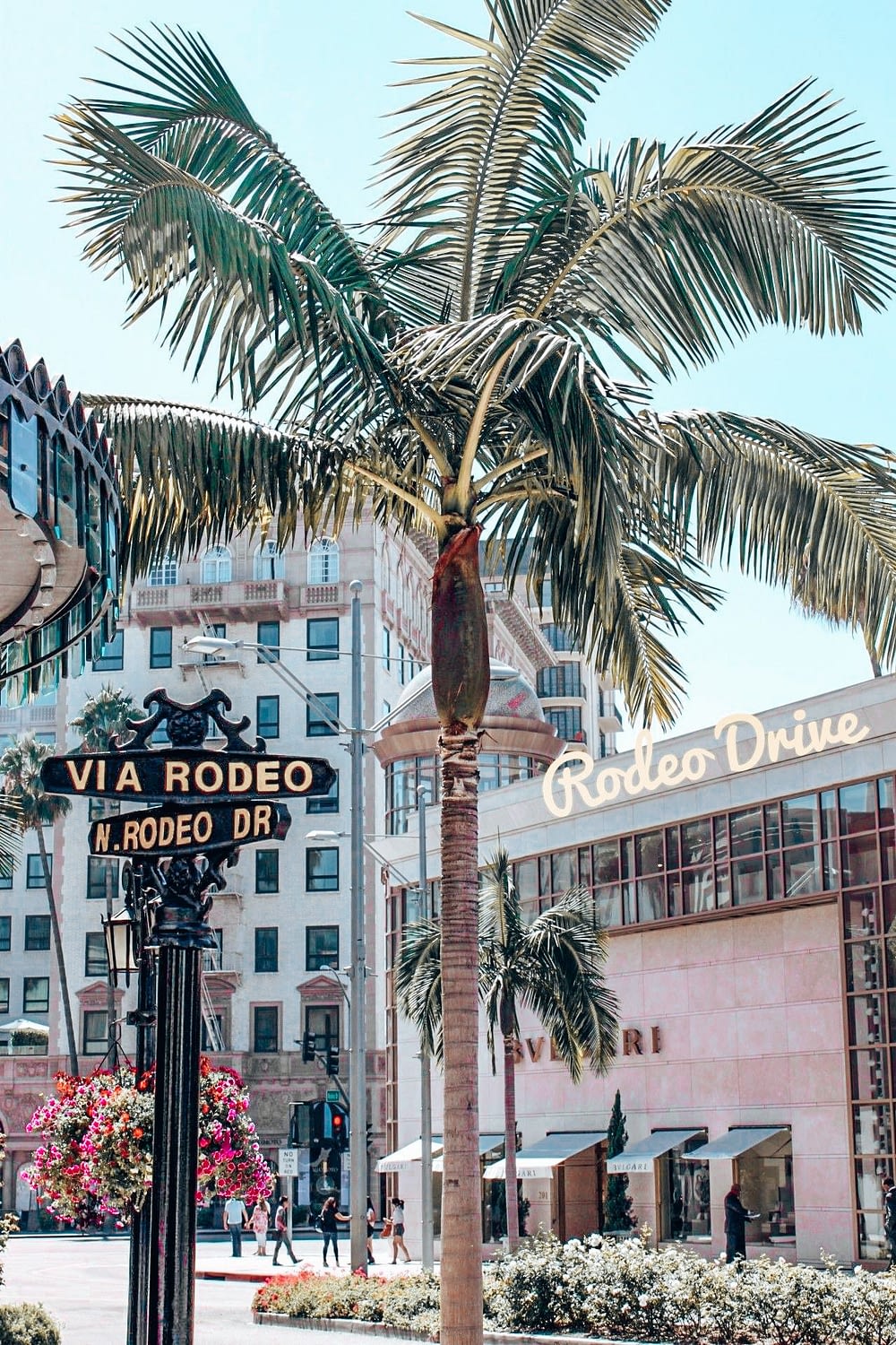a sign saying rodeo drive with a palm tree
