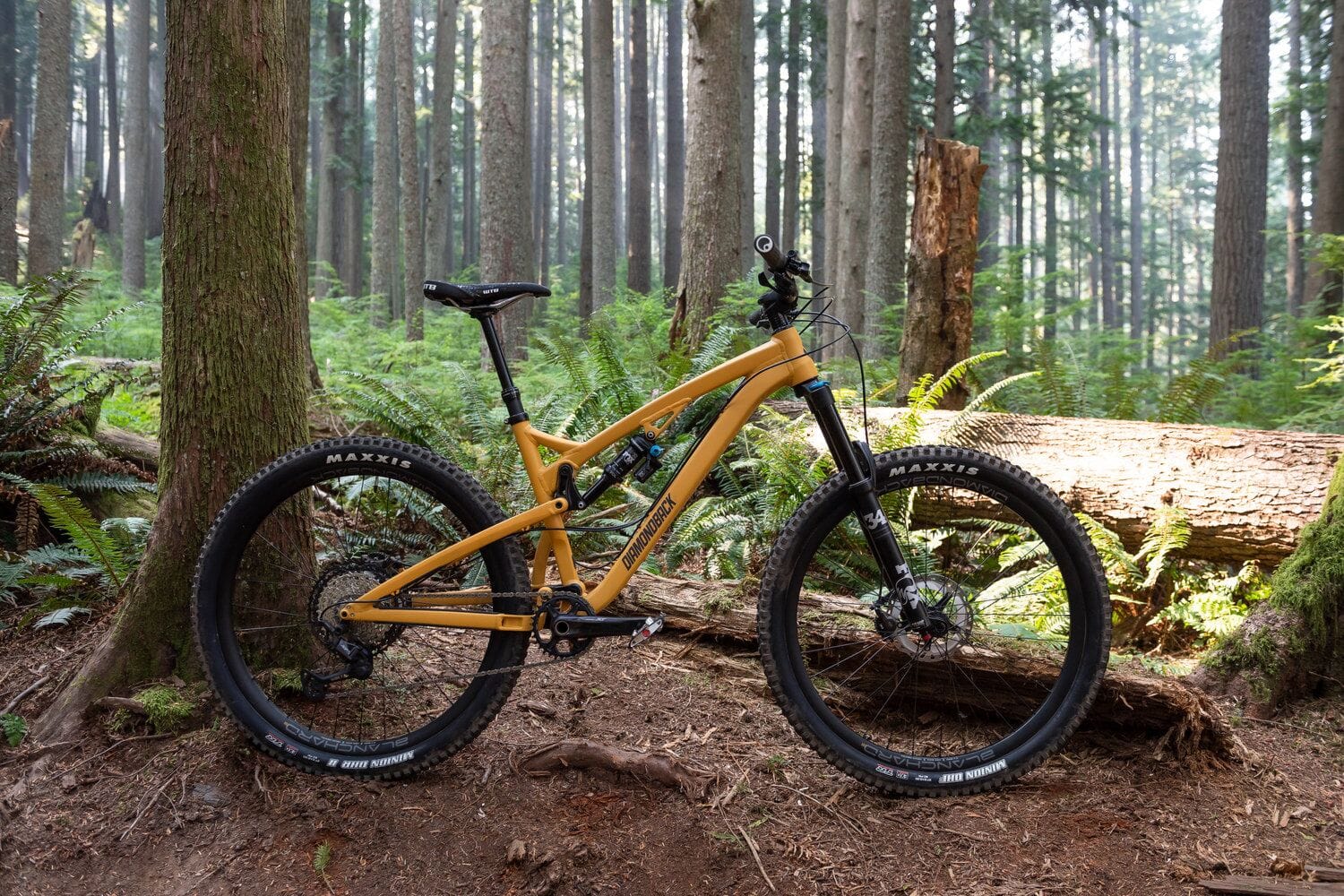 a yellow mountain bike in a forest