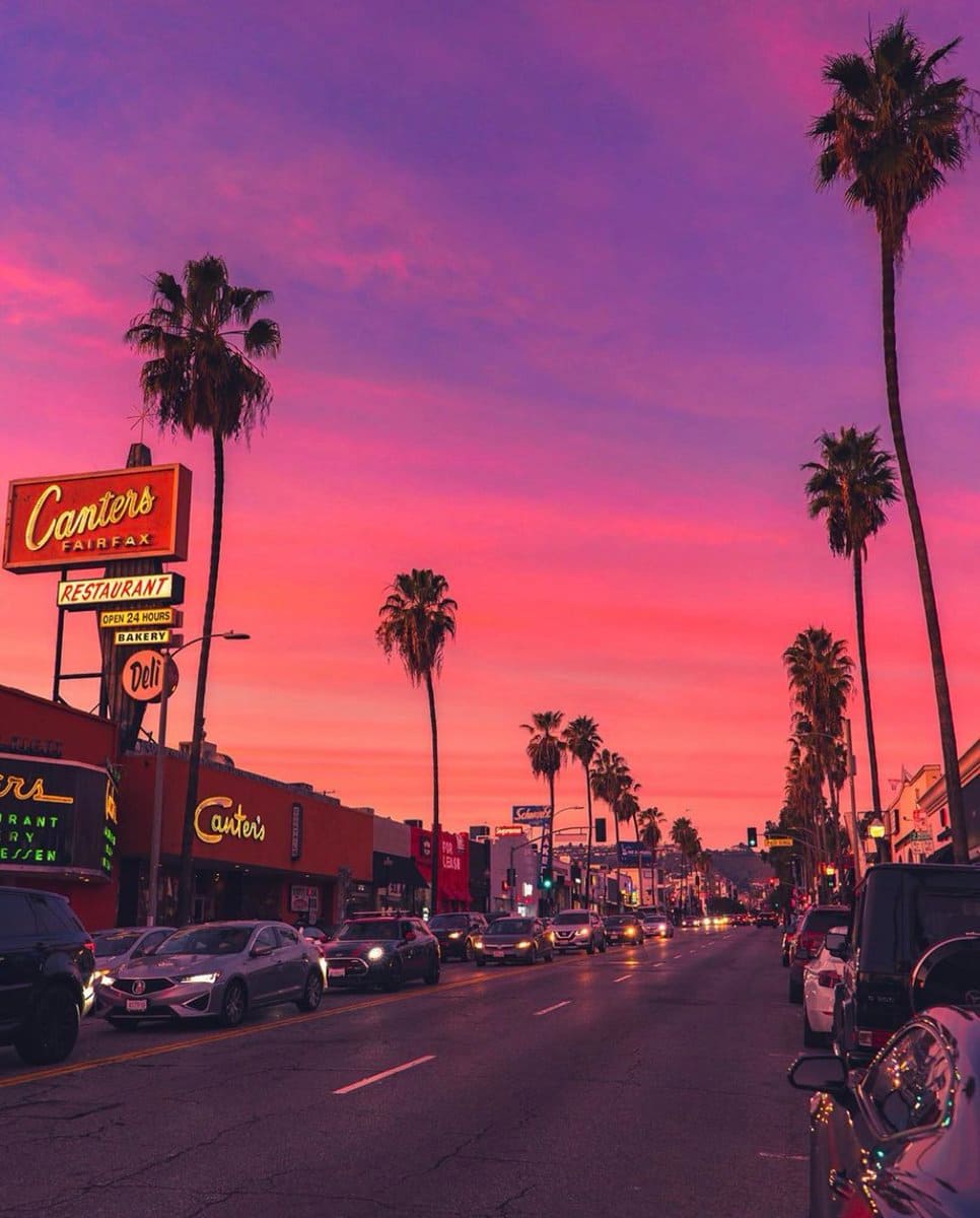 palm trees and a sign that says cantors over a los angeles sunset